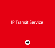 IP Transit Service